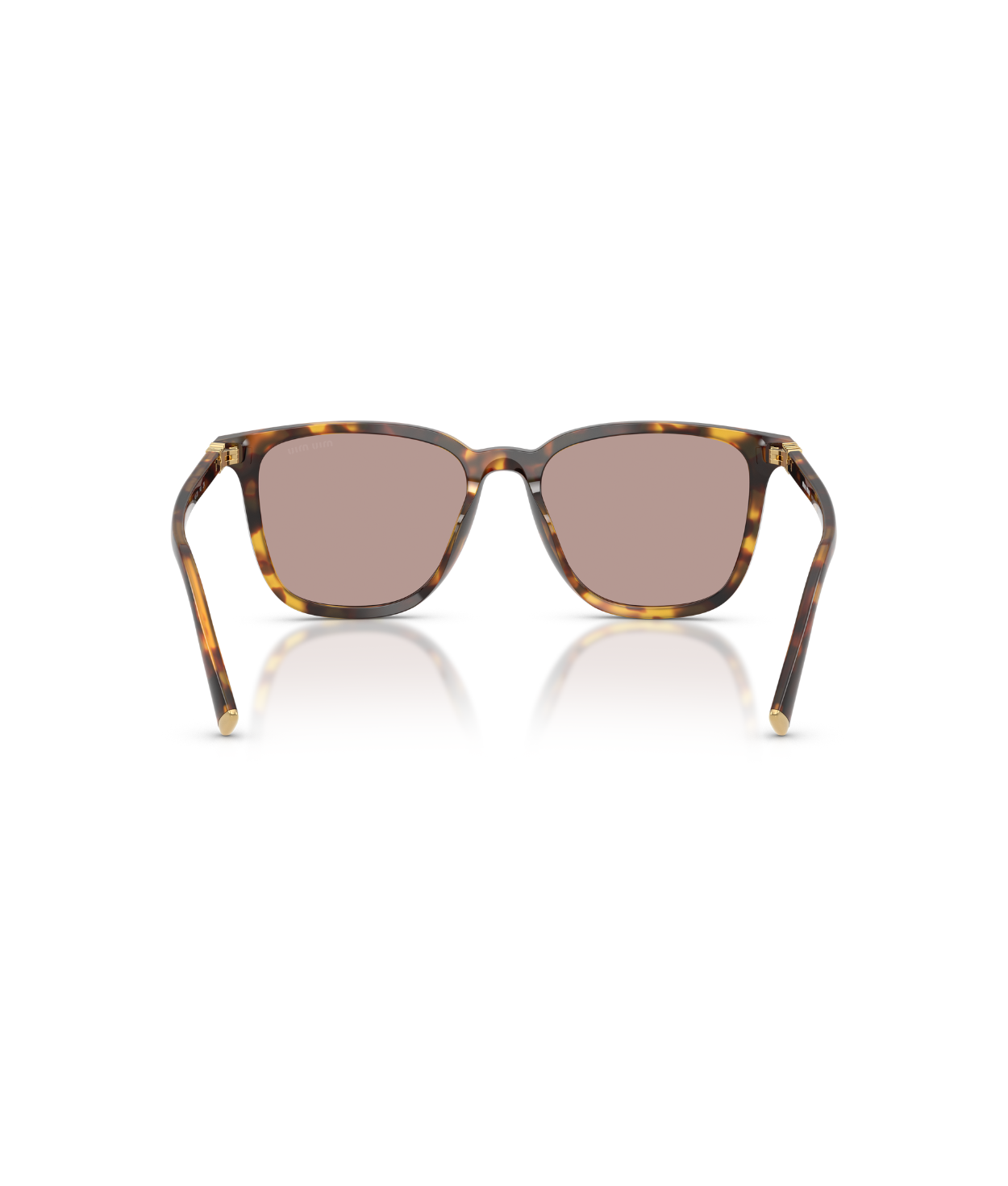 Honey Havana-Light Purple Brown