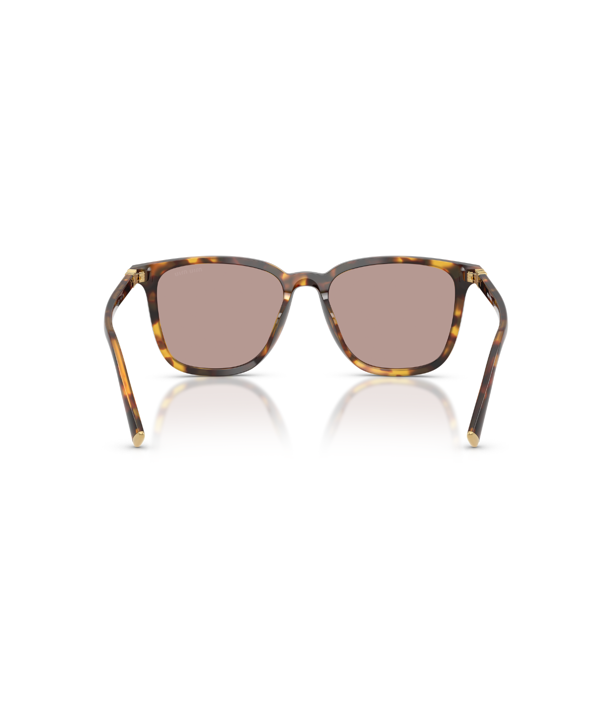 Honey Havana-Light Purple Brown