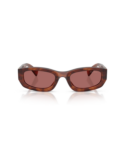 Striped Tobacco-Dark Violet