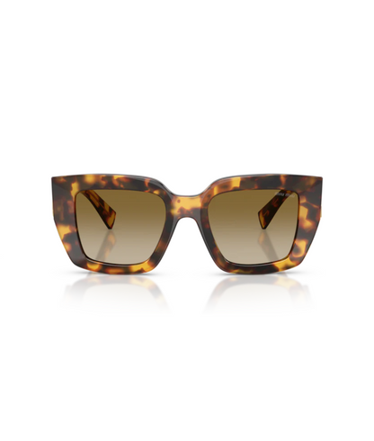 Honey Havana-Brown Gradient