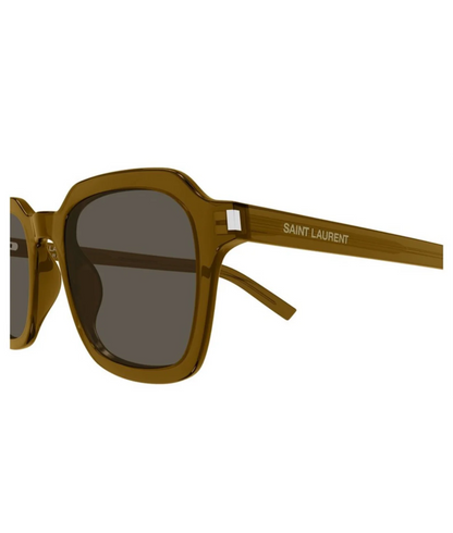 Brown-Brown