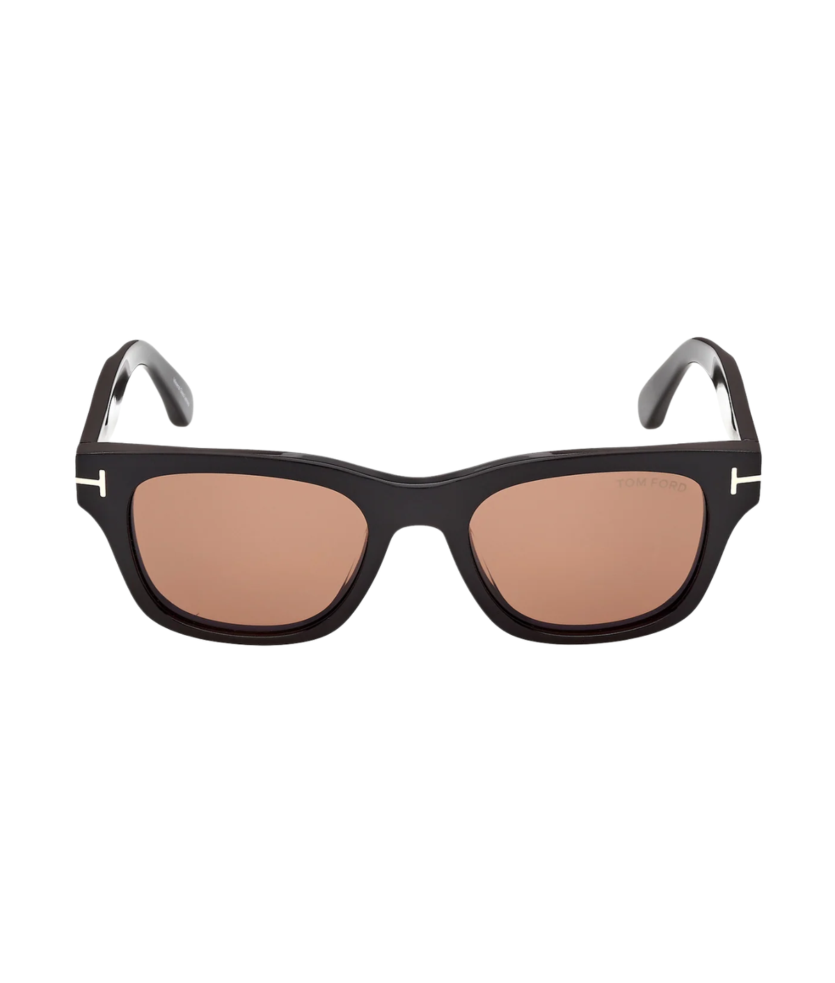Shiny Black-Brown
