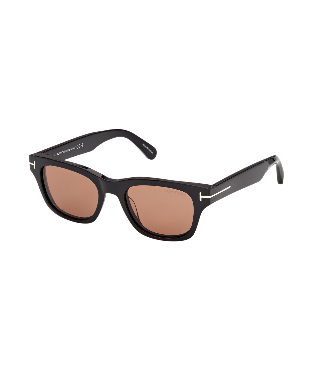Shiny Black-Brown