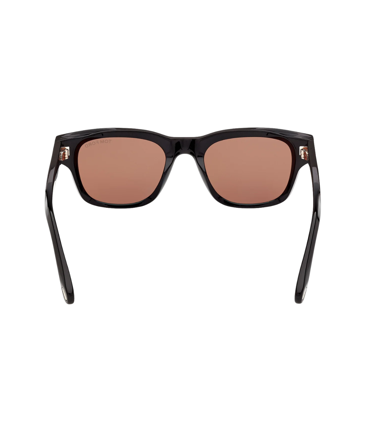Shiny Black-Brown