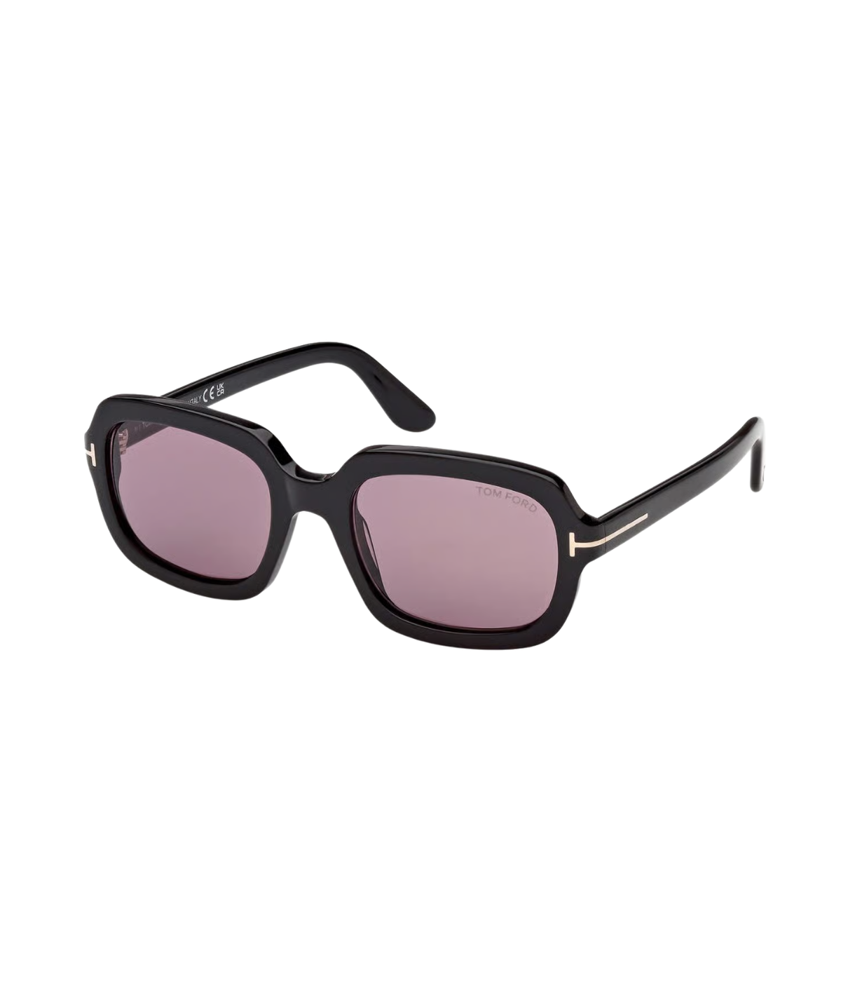 Shiny Black-Violet